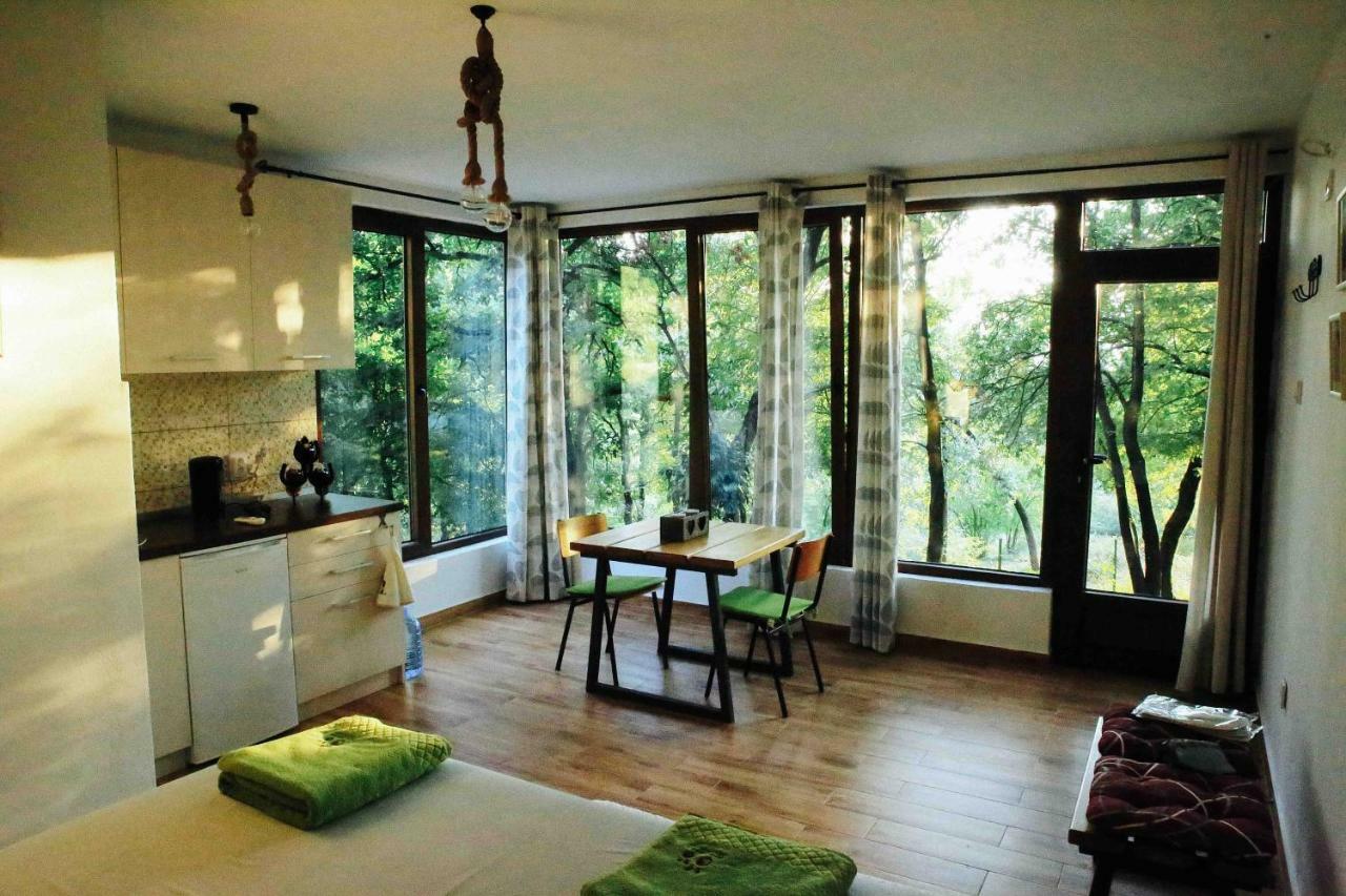 Bed and Breakfast Donkey Farm Martinici - Farma Magaraca Martinici Danilovgrad Zewnętrze zdjęcie